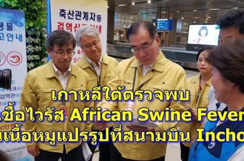 เกาหลีใต้ตรวจพบ เชื้อไวรัส African Swine Fever ในเนื้อหมูแปรรูปที่สนามบิน Inchon